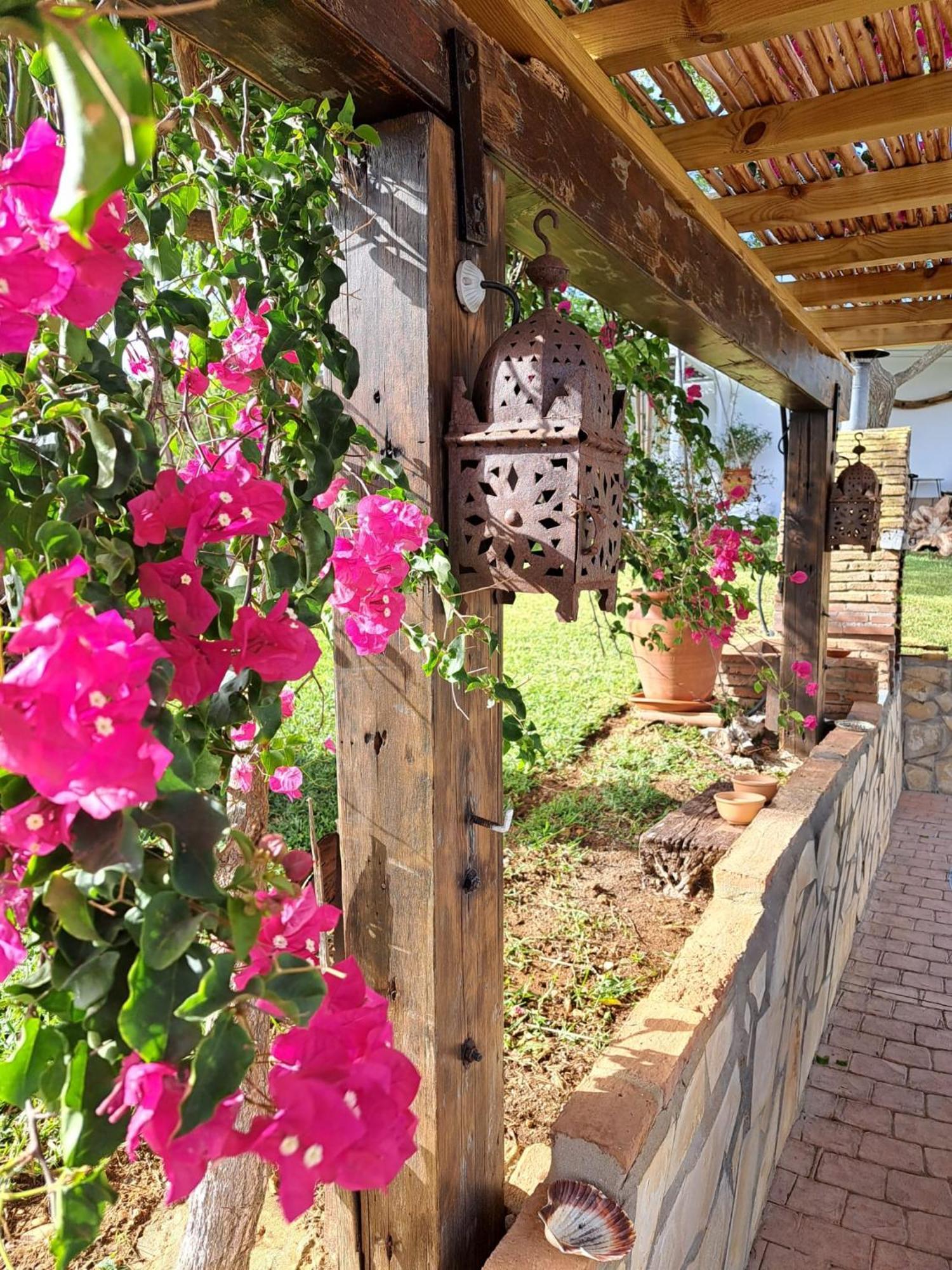 Maison d'hôtes La Luciérnaga à Chiclana de la Frontera Extérieur photo