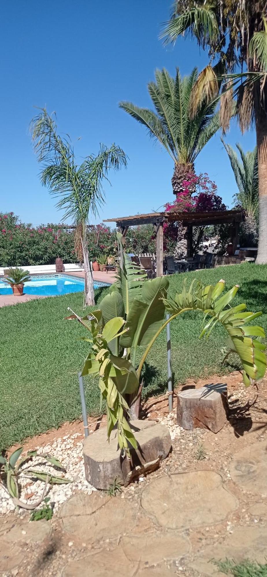 Maison d'hôtes La Luciérnaga à Chiclana de la Frontera Extérieur photo
