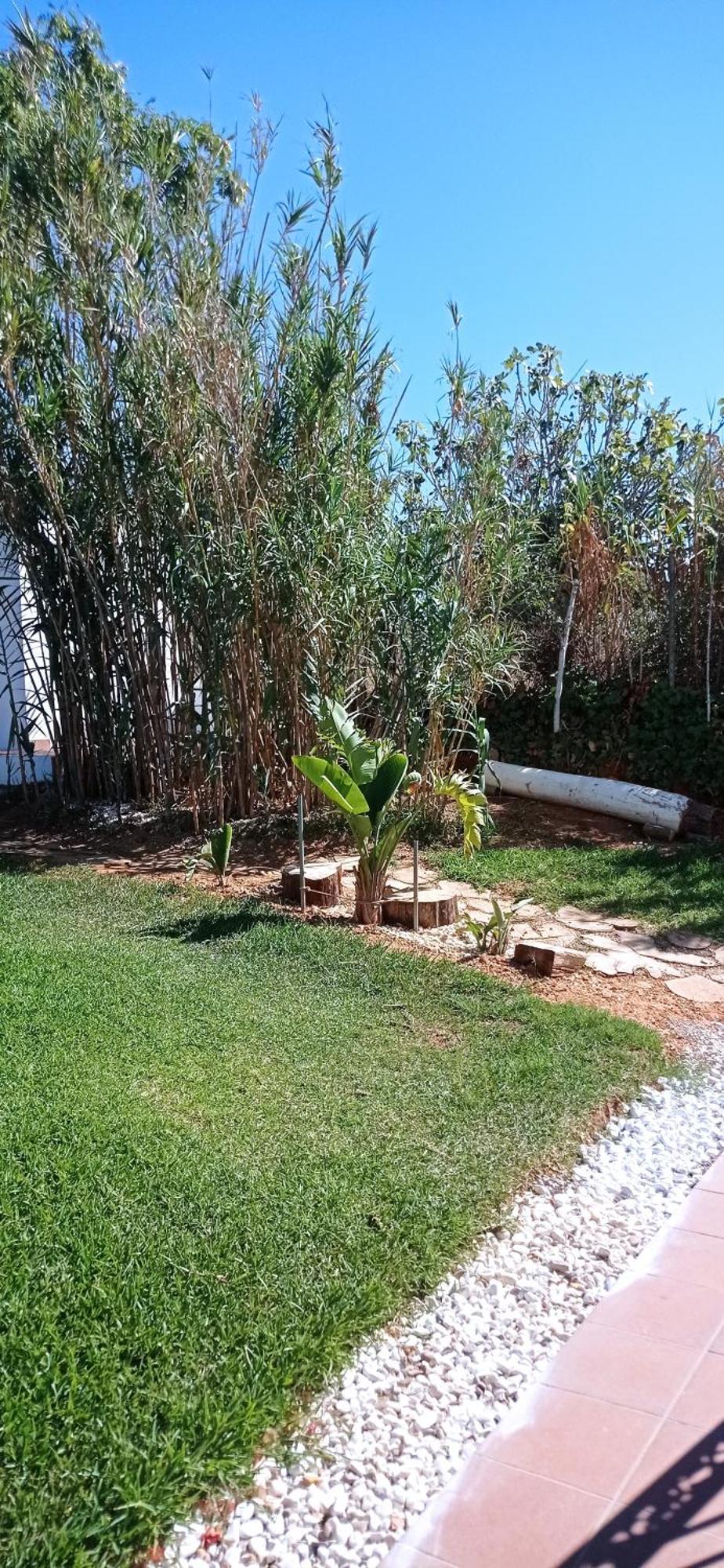 Maison d'hôtes La Luciérnaga à Chiclana de la Frontera Extérieur photo