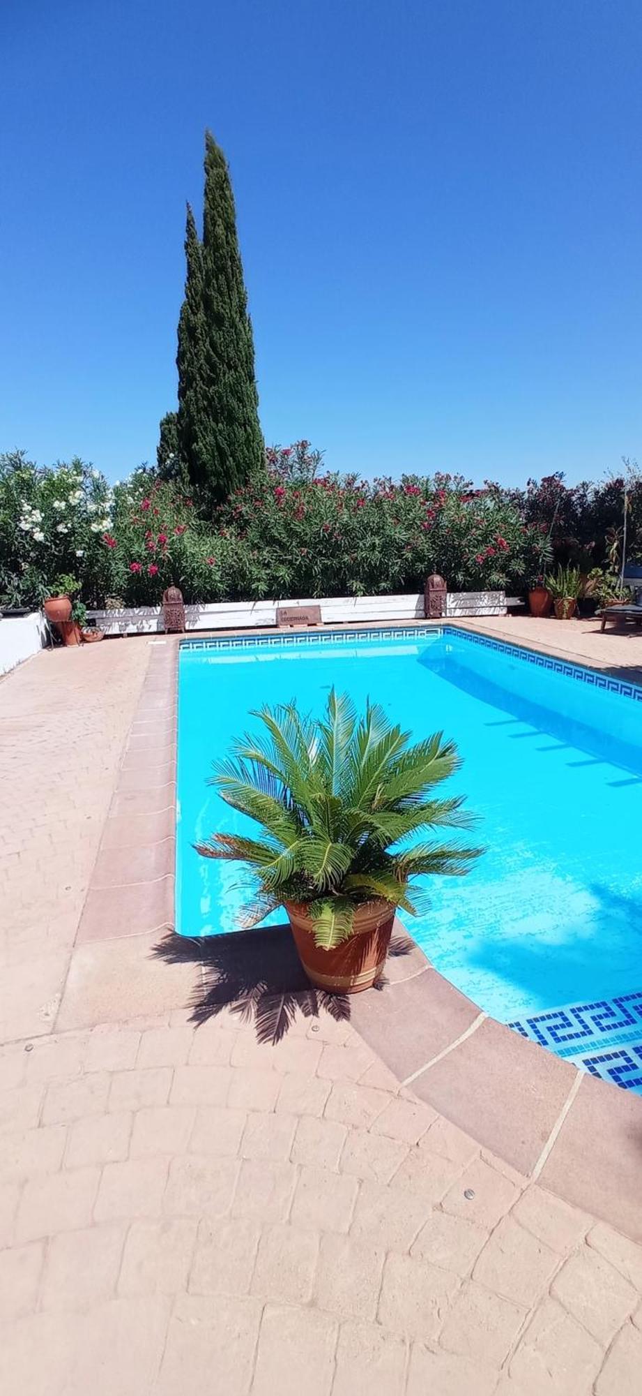 Maison d'hôtes La Luciérnaga à Chiclana de la Frontera Extérieur photo